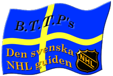 nhllogga.gif (11799 bytes)